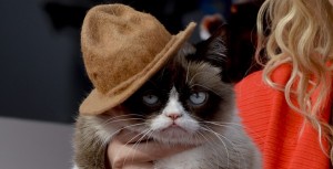 Grumpy Cat (Bild: dpa)