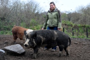 Tierzucht-Assistentin Daniela Müller mit ihren Schweinen