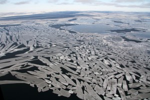 Bei Grönland treiben selbst im Meer eine Menge Eisbrocken herum. (Foto: Privat/Jens Koblitz) 