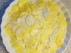Kartoffelgratin (6) (2)-neu